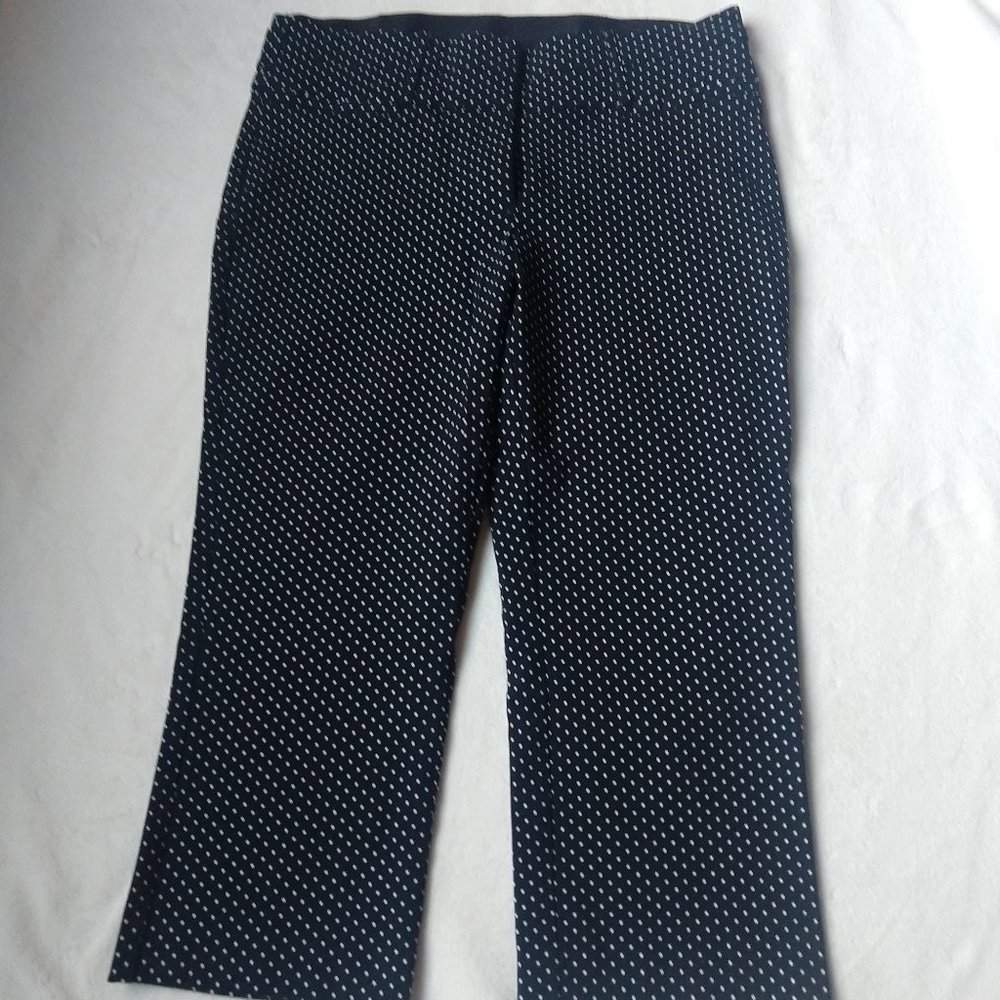 I Am Smart Capri Pants